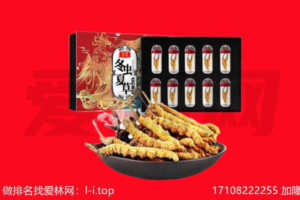 果洛甘德县回收虫草.jpg